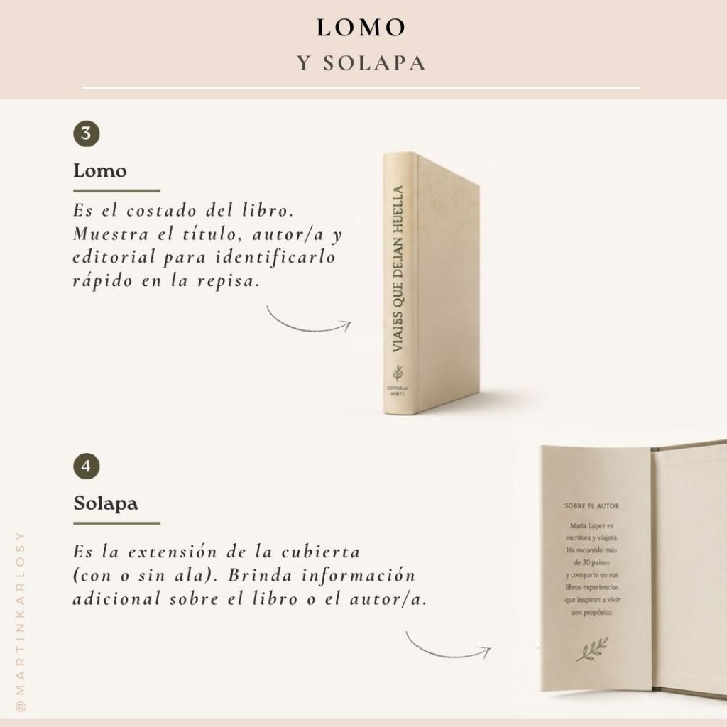 lomo y solapa